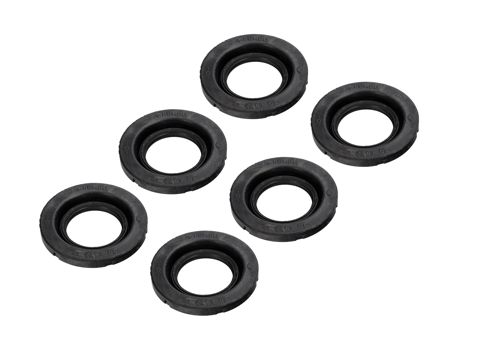 Caliper Seals |Pistons