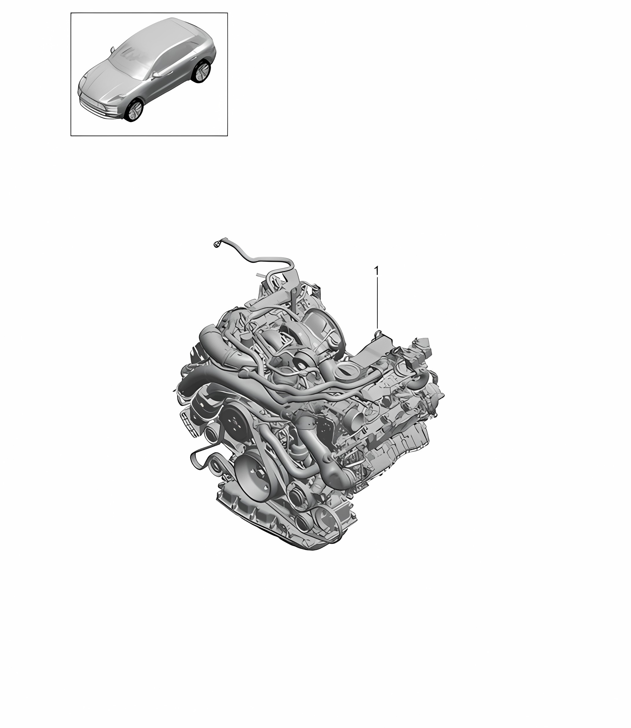 Replacement engine (complete) - Model: DLZB, DLZ - 95B (II / III) Macan 3.0L 2019 - 2024