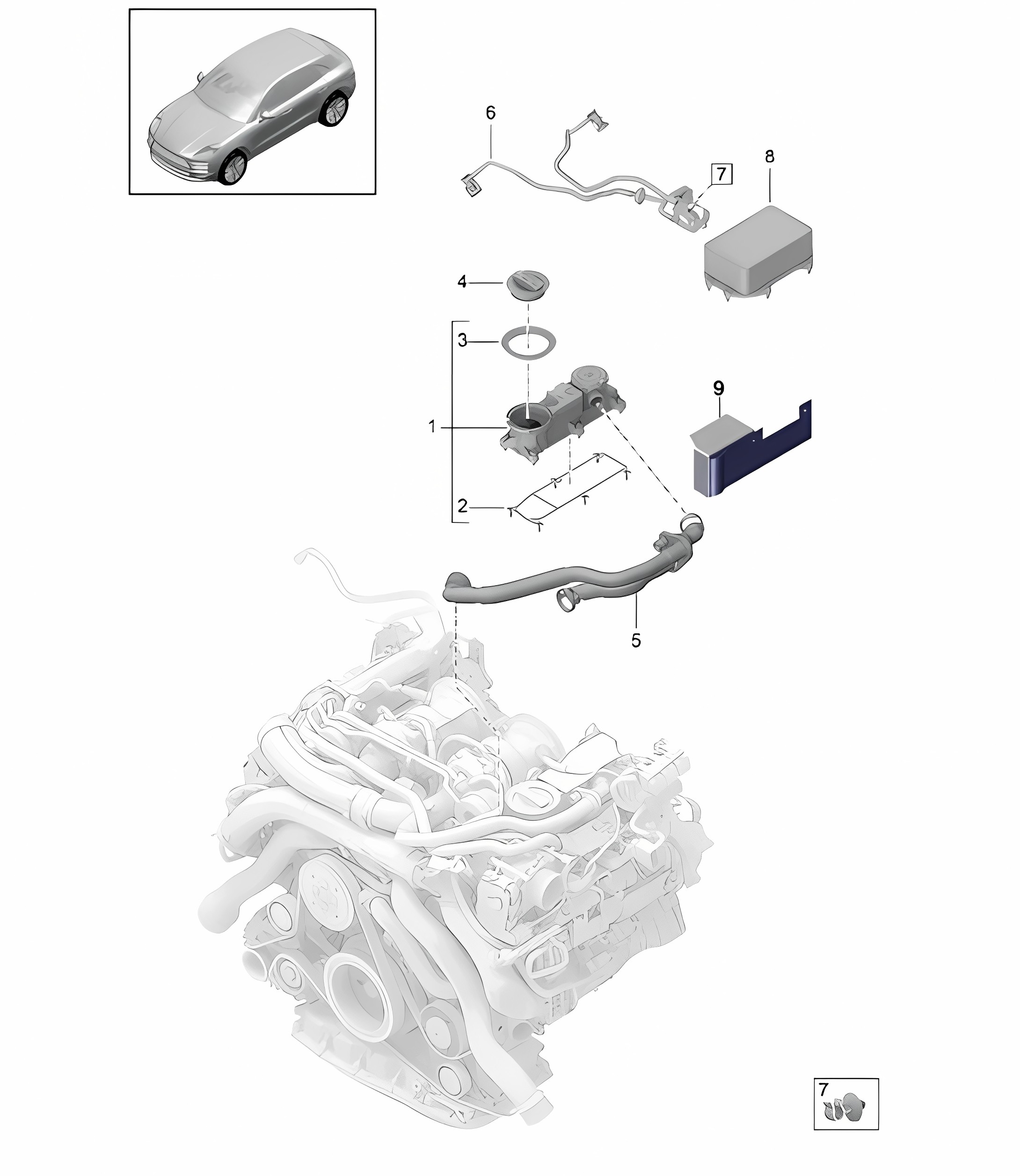 Ventilation for cylinder block oil separator - Model: DGR,DGRB, DGR, DGRC - 95B (II / III) Macan 2.9L 2019 - 2024