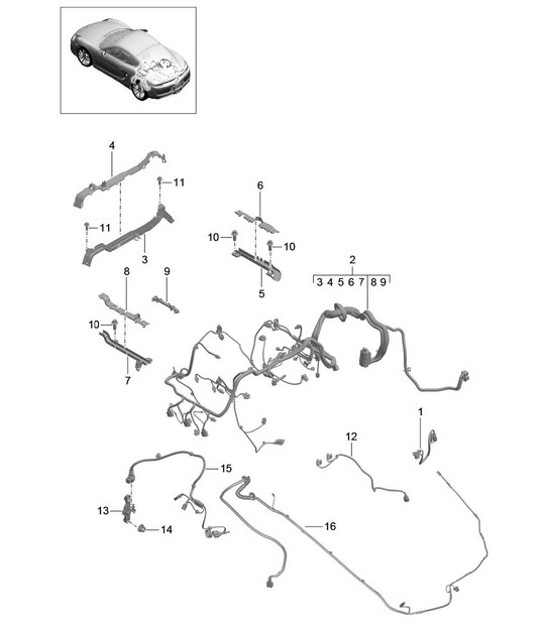 Telai elettrici / Assetto / Motore / Cambio / Asse posteriore / Cofano posteriore 981C Cayman / Cayman S 2014-16