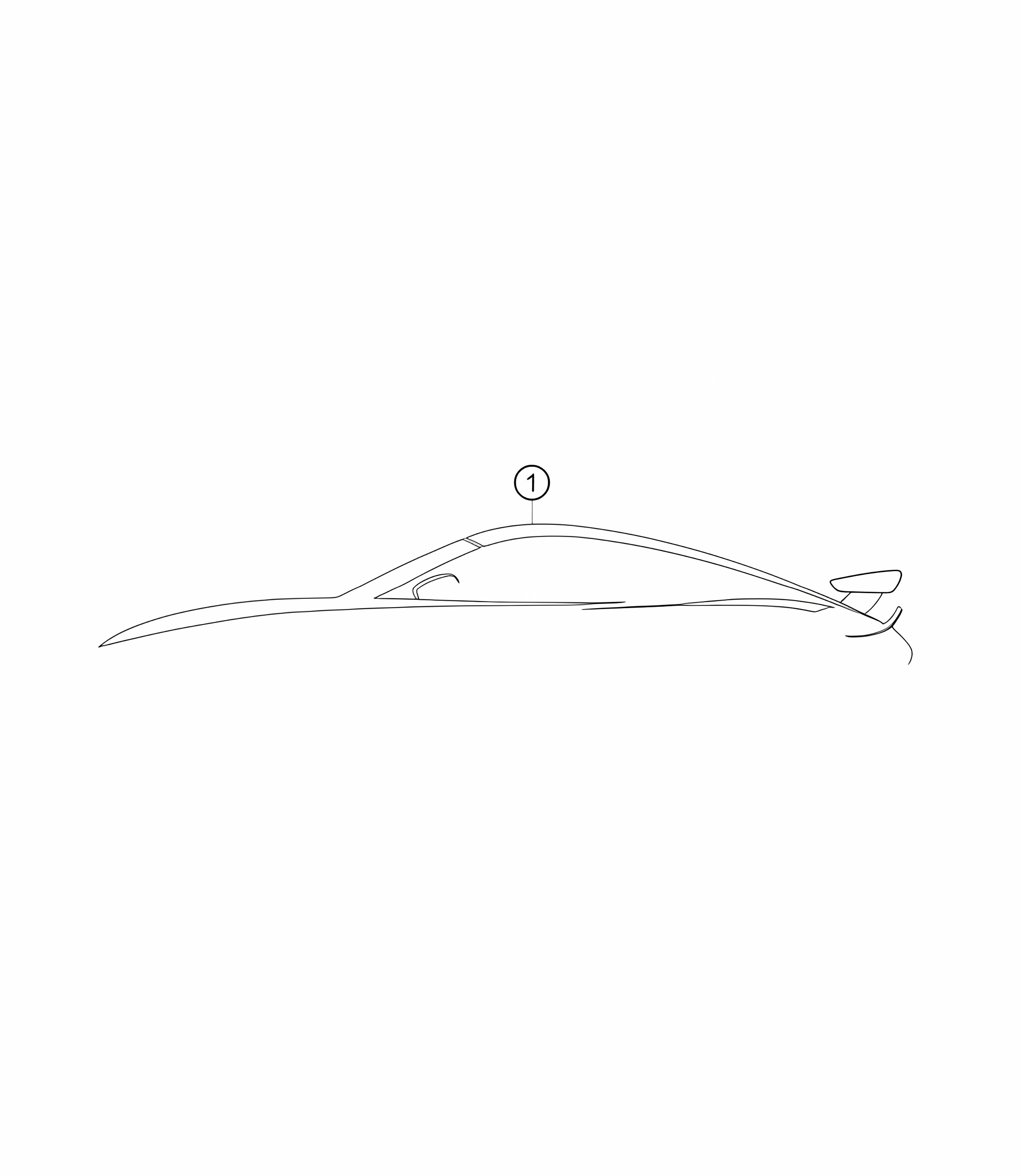 Car cover 982 Cayman GT4 Clubsport 2019-2020