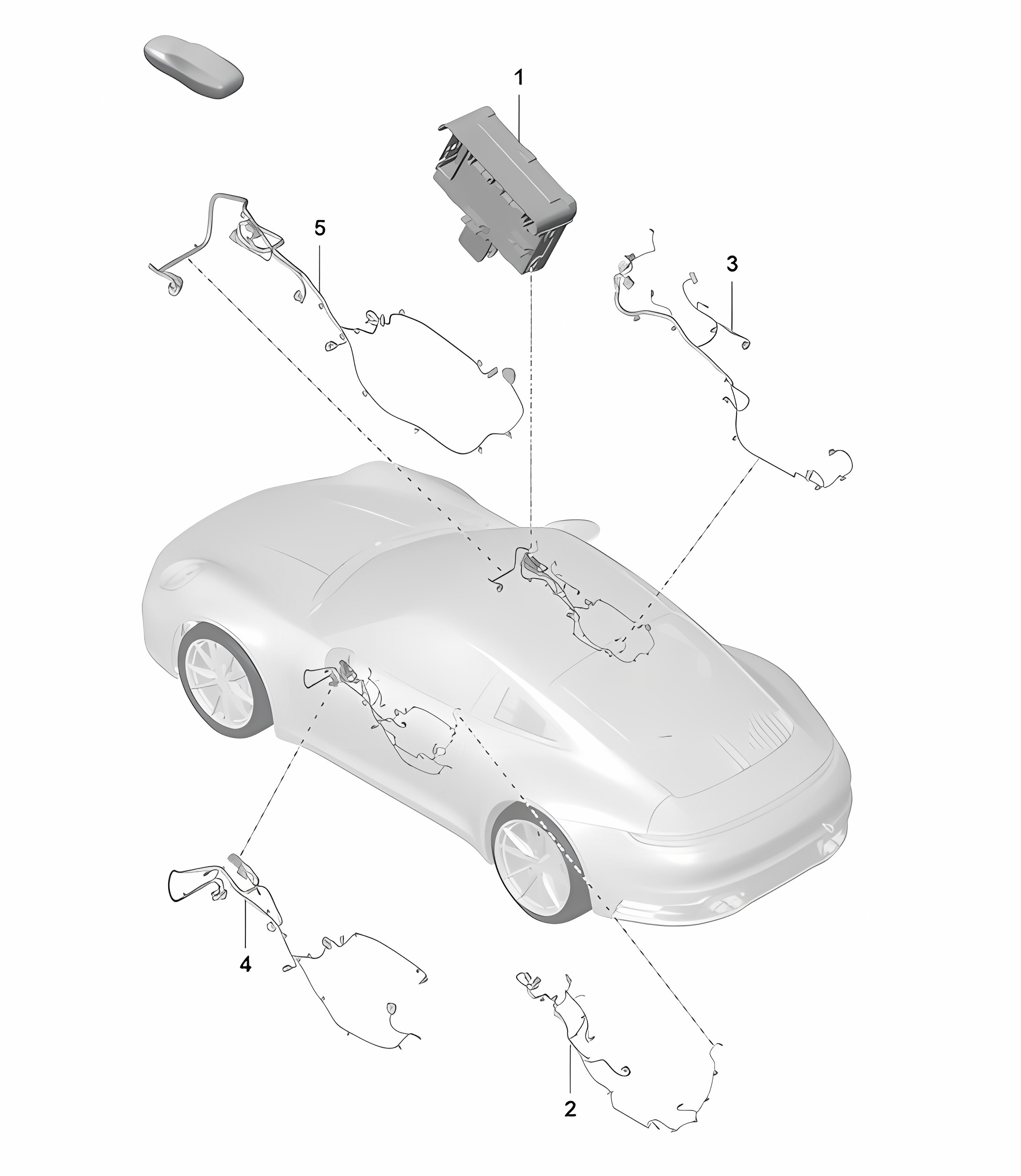 Doors - Control units / Wiring looms 992.1 Carrera 2019 - 2024
