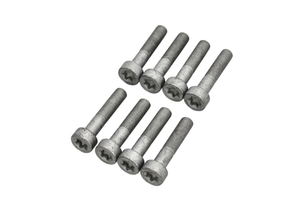Flywheel Bolts SET OF 8. Porsche 986 / 987 / 987C / 996 / 997 - 99907309202 - 99907309209, 99907309201, 99907309202
