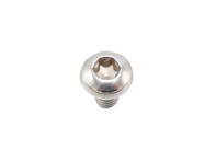 Fillister Head Screw, M6 x 10. Porsche 997 Turbo / 991 Turbo / 992.1 Turbo - PAF008313, 9990732360A - 101432