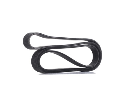 Drive Belt. Porsche 955 / 957 / 958 Cayenne V6 2003-17 - 95510293300 - POR95510293300#F