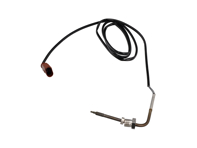 Abgastemperatursensor. Porsche 958 Cayenne Diesel - 95860628800, 95860628801 - GEGT-91701