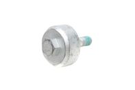 Rear caliper bolt with balance weight. Porsche 95B.2 Macan - WHT001921
