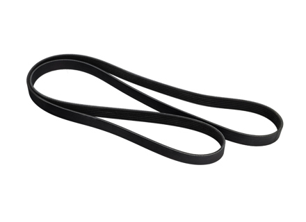 Drive belt. Porsche 718 Boxster S 2.5L / 718 Cayman S 2.5L - 9A210222400 - MV06PK1835
