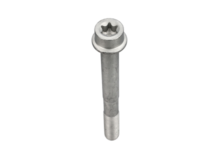 Bullone di fissaggio pinza freno, ANTERIORE. Porsche 970 Panamera / 958 Cayenne / 9YA Cayenne / 95B Macan - 99907346101, WHT004572, PAF004572 - 104277