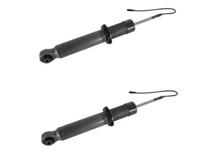 Stoßdämpfer-Kit, hinten mit PASM. Porsche 991.2 GT2 RS / GT3 2018–19 - 99133305172