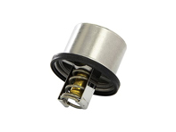 Thermostat Insert, 82°C. Porsche Carrera GT 2003-06 - 9971062258A, 98010612501, 98010612503 - 27705